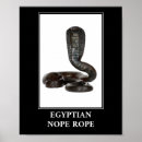 Search for cobra posters Snake