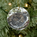 Search for pacific northwest christmas tree decorations Animal