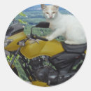 Search for classic motorbikes stickers Pet