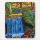 Search for fresh water mouse mats Nature