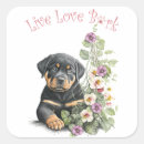 Search for rottweiler dog stickers Puppy