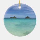Search for mele kalikimaka christmas tree decorations Island