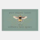Search for bee pattern Honeybee