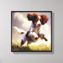 Search for brittany dog posters Pet