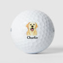 Search for labrador golf equipment Retriever