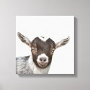 Search for goat canvas prints Farm