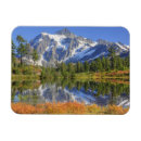Search for wa magnets Nature
