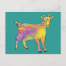 Search for animals design postcards Funny
