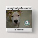 Search for pit bull badges Adopt