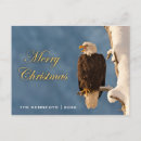 Search for bald eagle christmas cards Avian