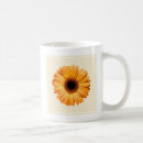 Search for orange gerbera mugs Flower
