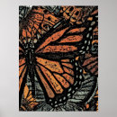 Search for abstract butterflies posters Graphic