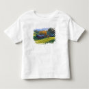 Search for rolling hill Scenic
