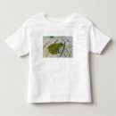 Search for tree frog tshirts Darrell gulin