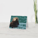 Search for sea otter cards Alaska