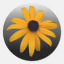 Search for susan stickers Black eyed susan