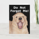 Search for funny congratulations cards Golden