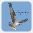 Search for flying fish stickers Osprey