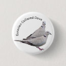 Search for dove badges Nature