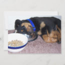 Search for walker photography Puppy