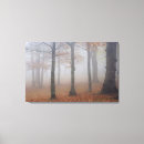 Search for foggy forest canvas prints Autumn