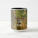 Search for whitetail buck mugs Antlers