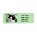 Search for cute family return address labels Green