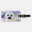 Search for pups luggage tags Cute