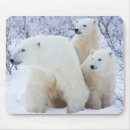 Search for polar bear mouse mats Canadian