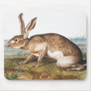 Search for hare mouse mats Vintage