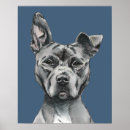 Search for pencil drawing posters Animals