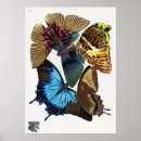 Search for papillon vintage posters Butterfly