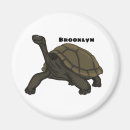 Search for tortoise magnets Ecuador