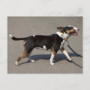 Search for tri horizontal postcards Cute