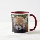 Search for red panda mugs Mammal