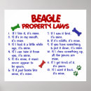 Search for beagle posters Unique
