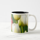Search for natural world mugs North america