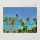 Search for palm beach postcards Exotic