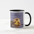 Search for sea otter mugs Mammal