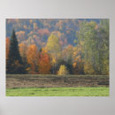 Search for autumn scene posters Landscape