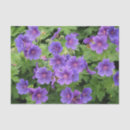 Search for geranium gift wrap Blooms