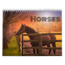 Search for horse calendars Ponies