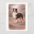 Search for australian postcards Antique