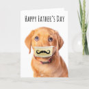 Search for moustached cards Dog