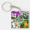 Search for ecological key rings Earth