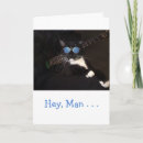 Search for hippie cat cards Cats