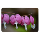 Search for large valentines day cards Heart