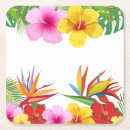 Search for tiki coasters Hibiscus