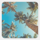 Search for california vintage stickers Outdoors