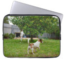 Search for happy jack electronics Pets